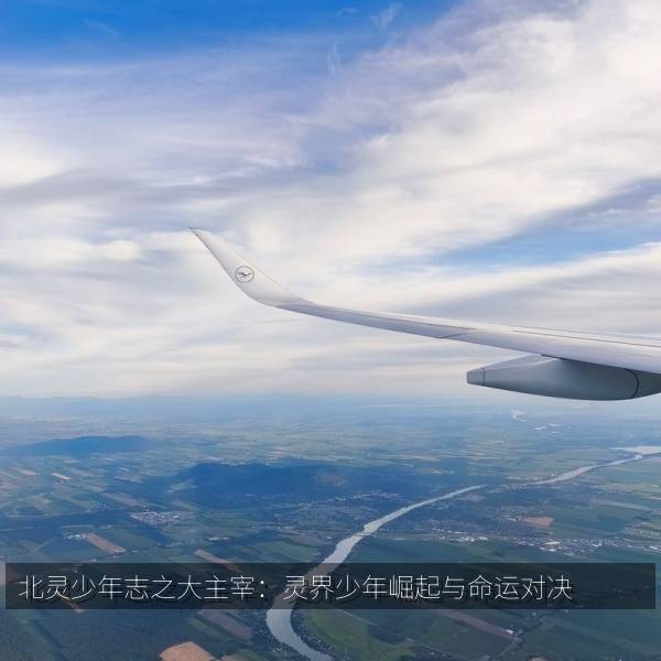 北灵少年志之大主宰：灵界少年崛起与命运对决 海报