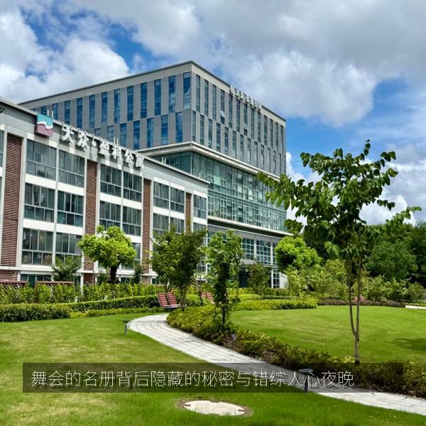 正在热播 舞会的名册背后隐藏的秘密与错综人心夜晚