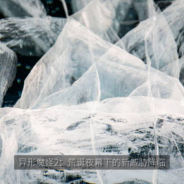 最新影视 异形魔怪2：荒诞夜幕下的新威胁降临