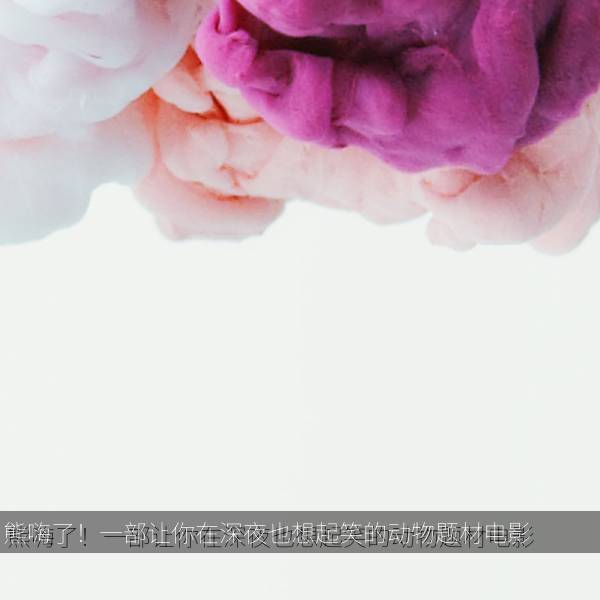 相关推荐 熊嗨了！一部让你在深夜也想起笑的动物题材电影
