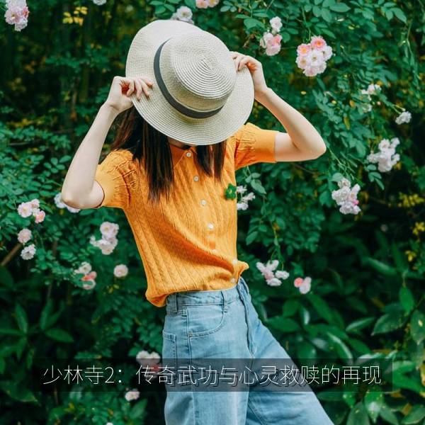 少林寺2：传奇武功与心灵救赎的再现 海报