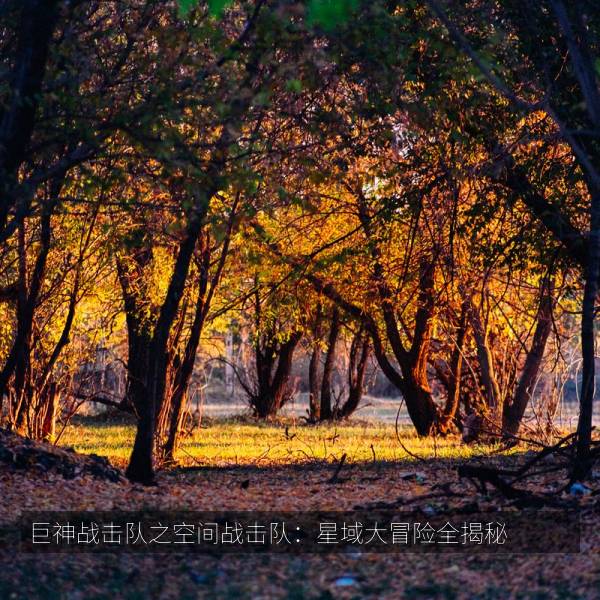 播放排行 巨神战击队之空间战击队：星域大冒险全揭秘
