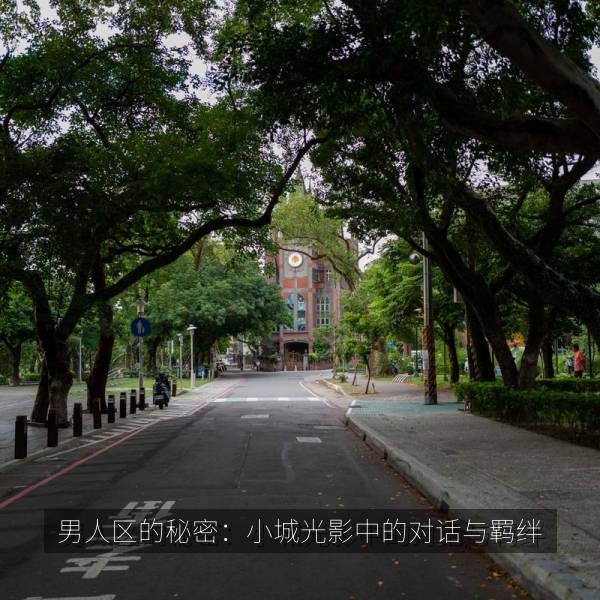 高分热播剧 男人区的秘密：小城光影中的对话与羁绊